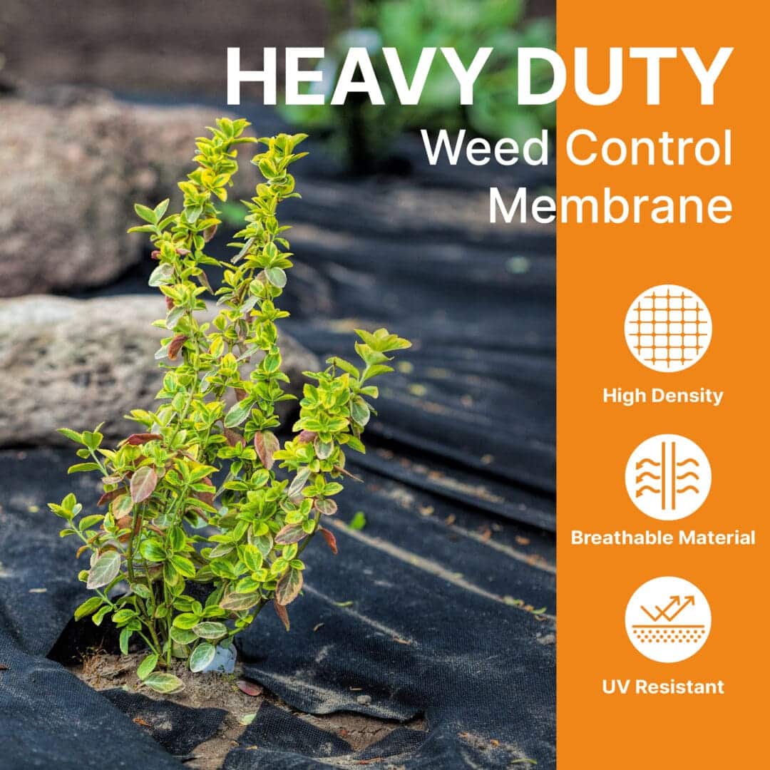 Heavy Duty Weed Control Membrane - Ultimate Solution for a Weed-Free Garden (Various Sizes) 3 Heavy Duty Weed Control Membrane - Ultimate Solution for a Weed-Free Garden (Various Sizes)
