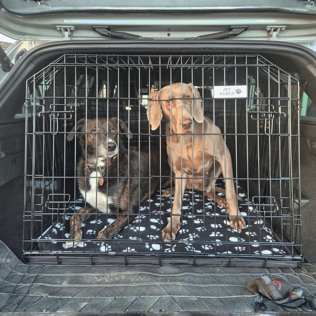 Pet World Skoda Kodiaq 2022 Onwards Car Dog Cage 2 Pet World Skoda Kodiaq 2022 og fremover Bilbur til hunde - Billede 2