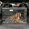 Pet World Car Dog Cage Puppy Crate Carrier - Nissan Juke 2021 Onwards