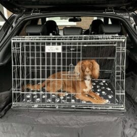 Pet World Car Dog Cage Puppy Crate Carrier - Nissan Juke 2021 Onwards