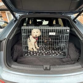 Alternativ visning af Pet World rejsebur til hunde – Audi Q4 e-Tron rejsebur til hunde, hatchback, 36"