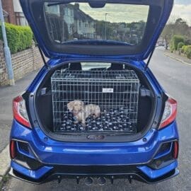 Pet World Car Dog Cage - Honda Civic 2021 Onwards - Crate