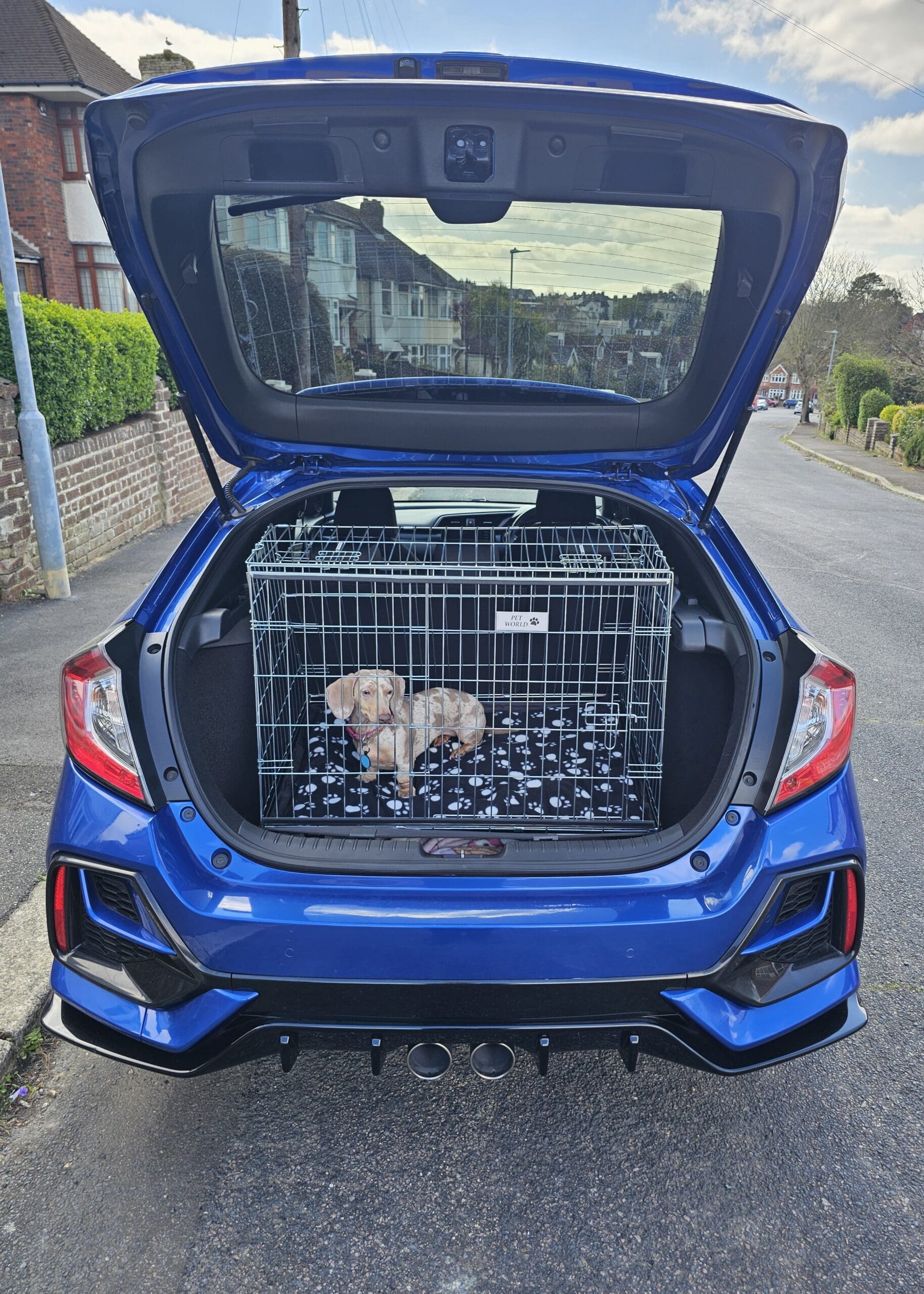 Pet World Car Dog Cage - Honda Civic 2021 Onwards - Crate 3 Pet World Transportbox für Hunde – Honda Civic ab Modelljahr 2021 – Transportbox